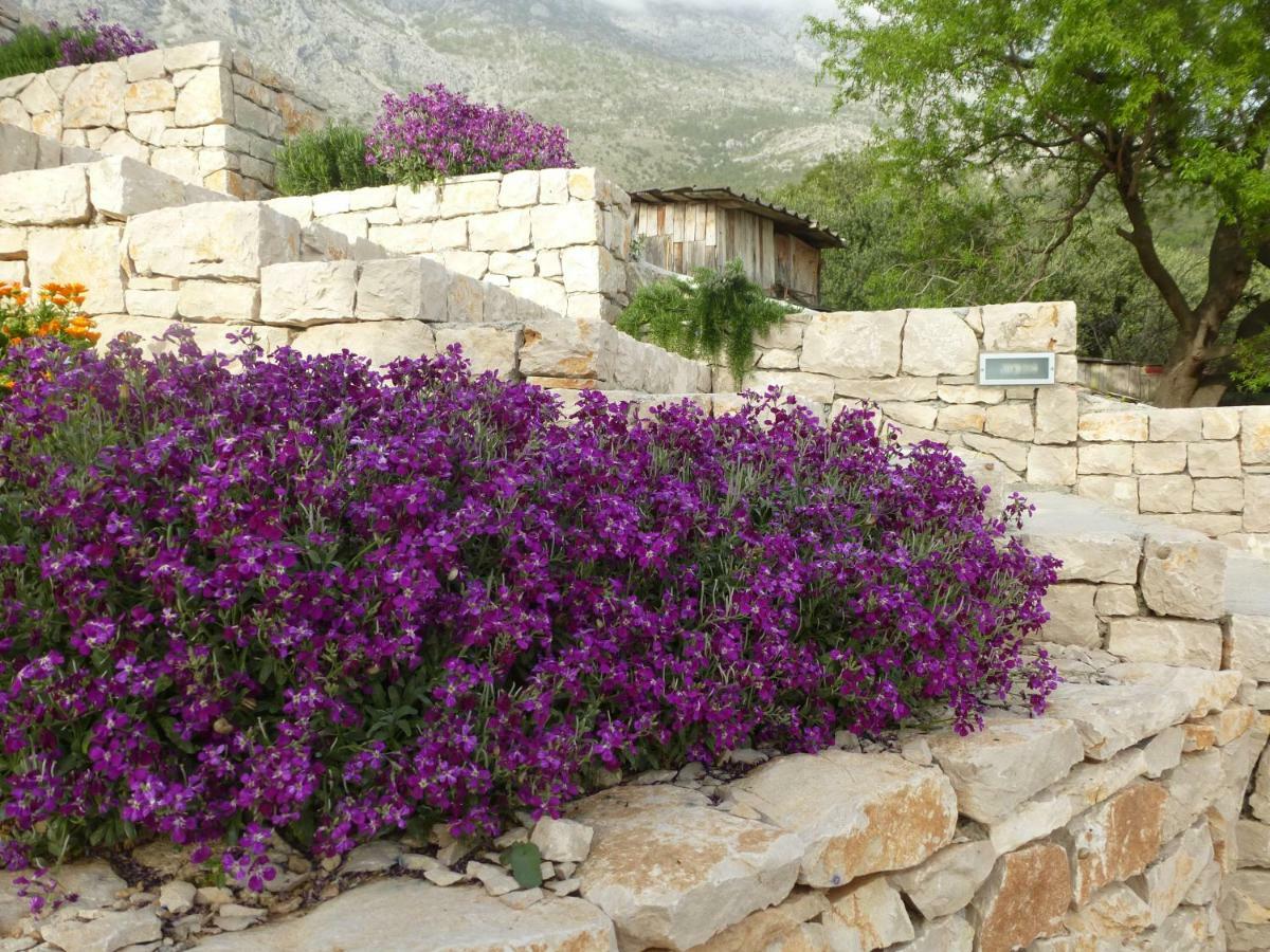 Kuca Za Odmor Viola Villa Živogošće Esterno foto